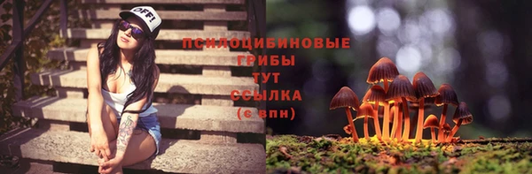 хмурый Алексин