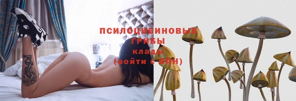 МДМА Алексеевка