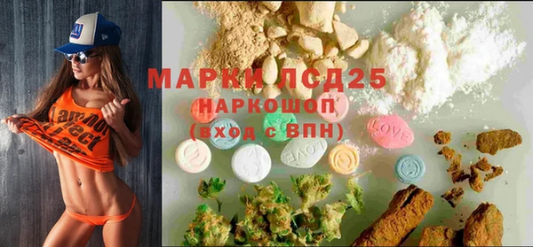 хмурый Алексин