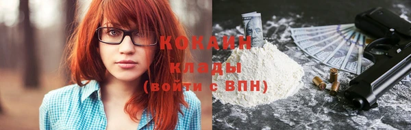 хмурый Алексин