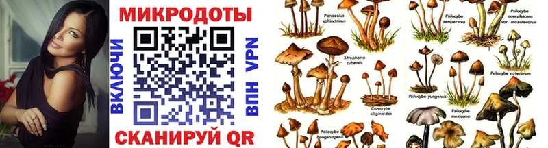 хочу наркоту  Кохма  Галлюциногенные грибы Magic Shrooms 